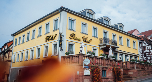 Über uns 495x270 Galerie LiLi